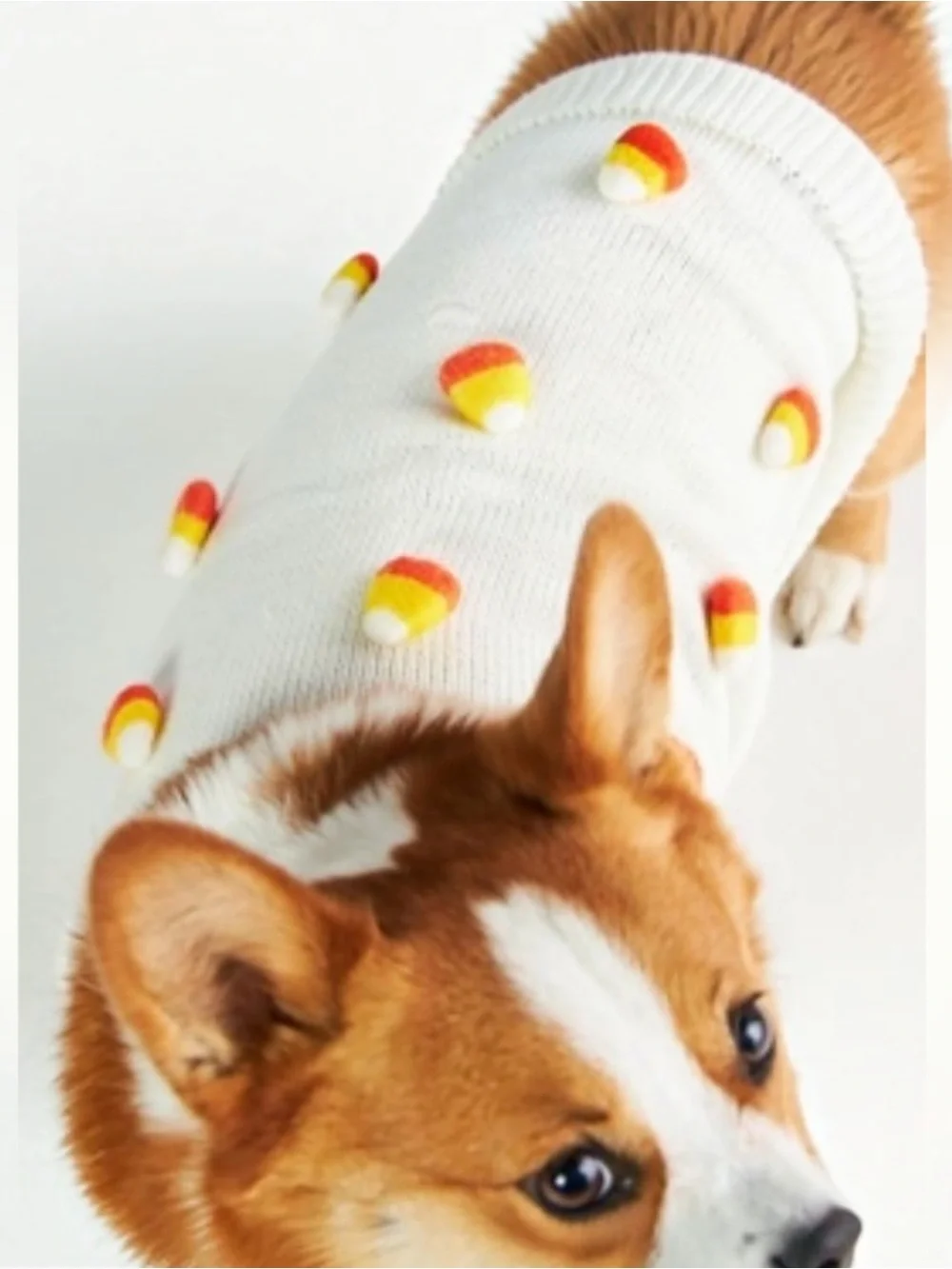 Anthropologie x Found Seasonal 3D Motif Pet Sweater in Candy Corn